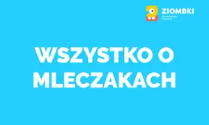 Jak wygląda ząb mleczny? Cechy, które zaskoczą każdego rodzica