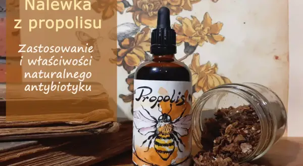 Jak stosować propolis na dziąsła, aby skutecznie wyleczyć ich stan